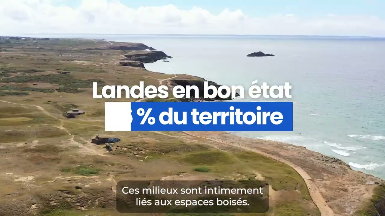Ouvrir le lecteur video « Assemblée_plénière_-_Plan_départemental_d_actions_en_faveur_des_forêts_et_des_landes__2025-2040_.youtube »
