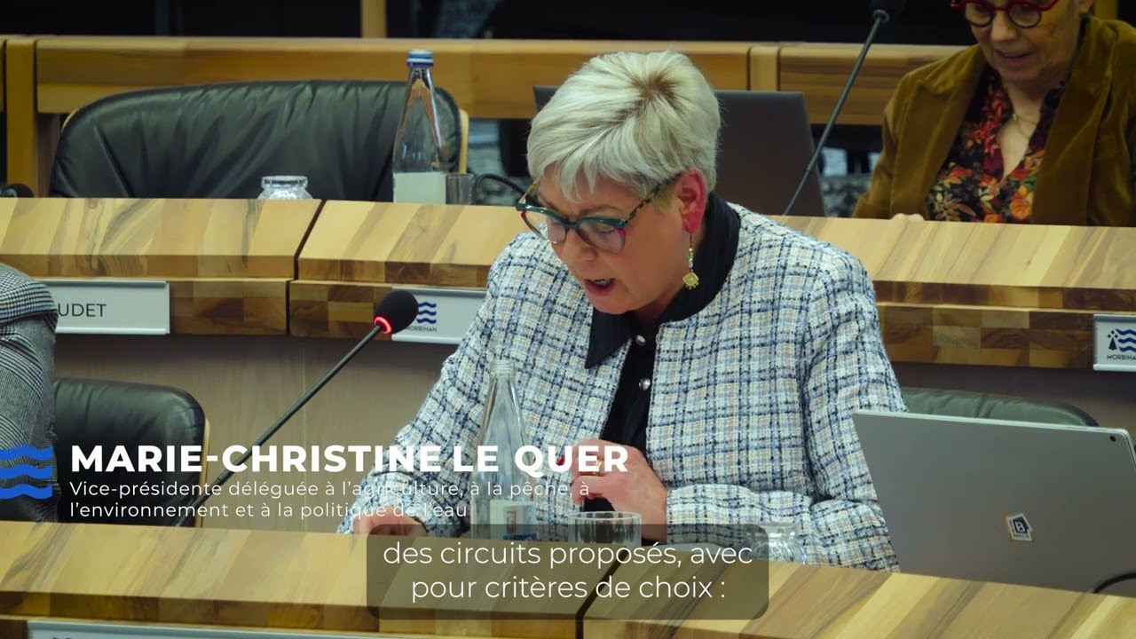 Ouvrir le lecteur video « Session_de_mars_-_Schéma_départemental_des_randonnées.youtube »