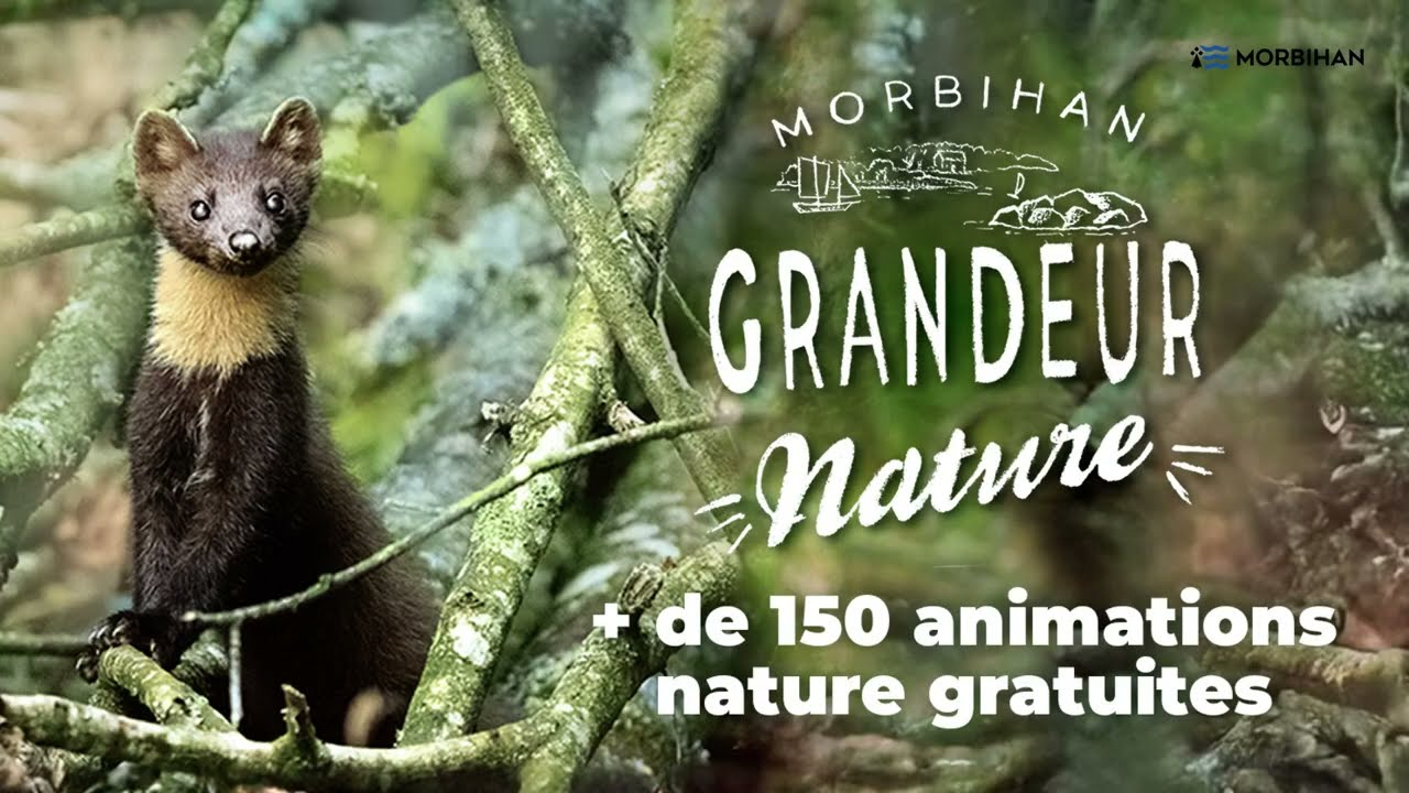 Ouvrir le lecteur video « MORBIHAN_GRANDEUR_NATURE_2026____Département_du_Morbihan.youtube »
