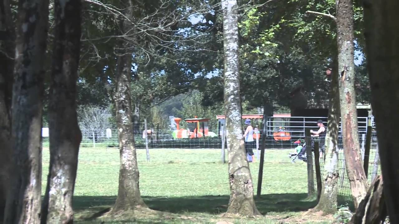 Ouvrir le lecteur video « La_Ferme_du_Monde_-_Parc_animalier_a_Carentoir.youtube »